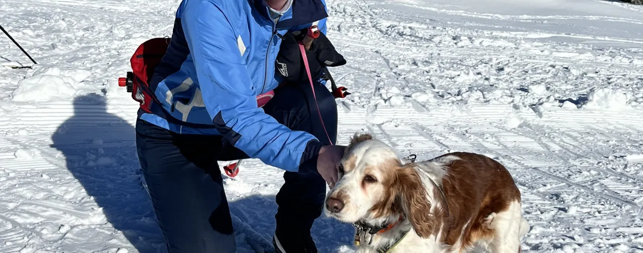 Lillehammer fjellstue er hundevennlig overnatting