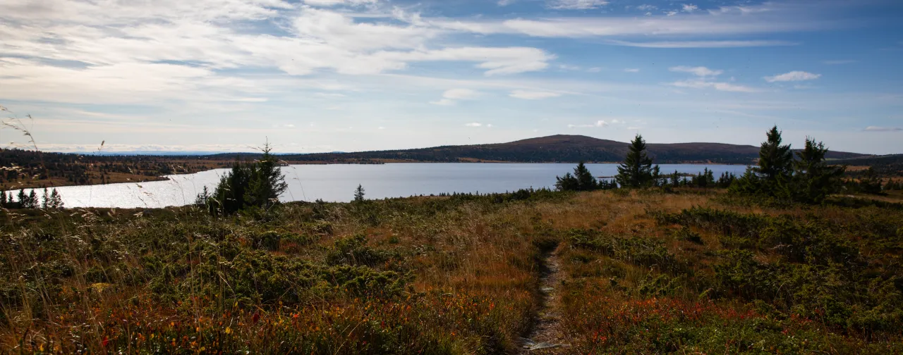 Bildet viser turstier på Nordseter i høstfarger med Nevelvann i bakgrunnen