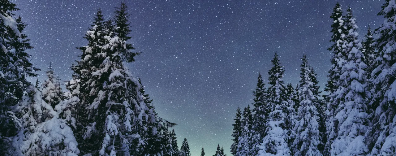 Klar himmel full av stjerner i skiløypa på Nordseter