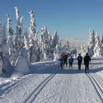 Langrenn på Nordseter