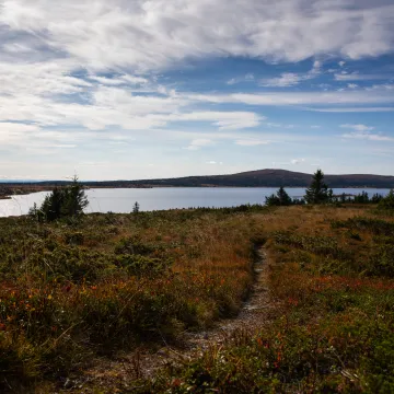 Bildet viser turstier på Nordseter i høstfarger med Nevelvann i bakgrunnen