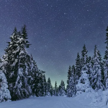 Klar himmel full av stjerner i skiløypa på Nordseter