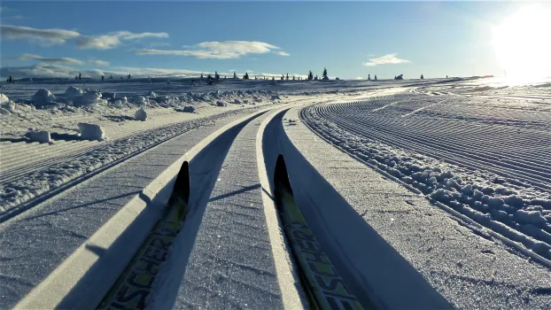 Skiløyper på Nordseter i Lillehammerfjellet