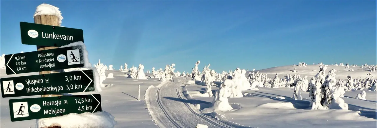 Skiløypene på Nordsdseter