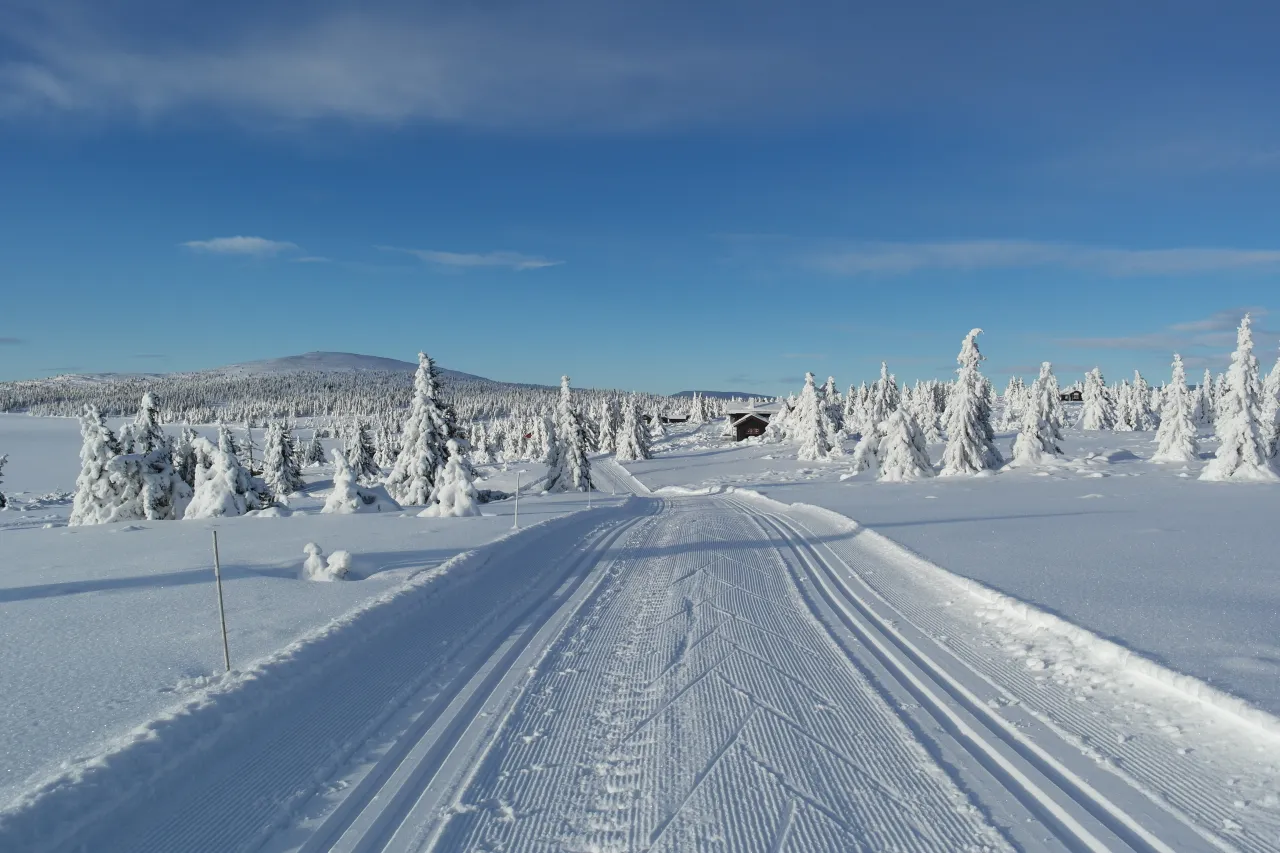 Langrennsløyper på Nordseter mot Nevelfjell