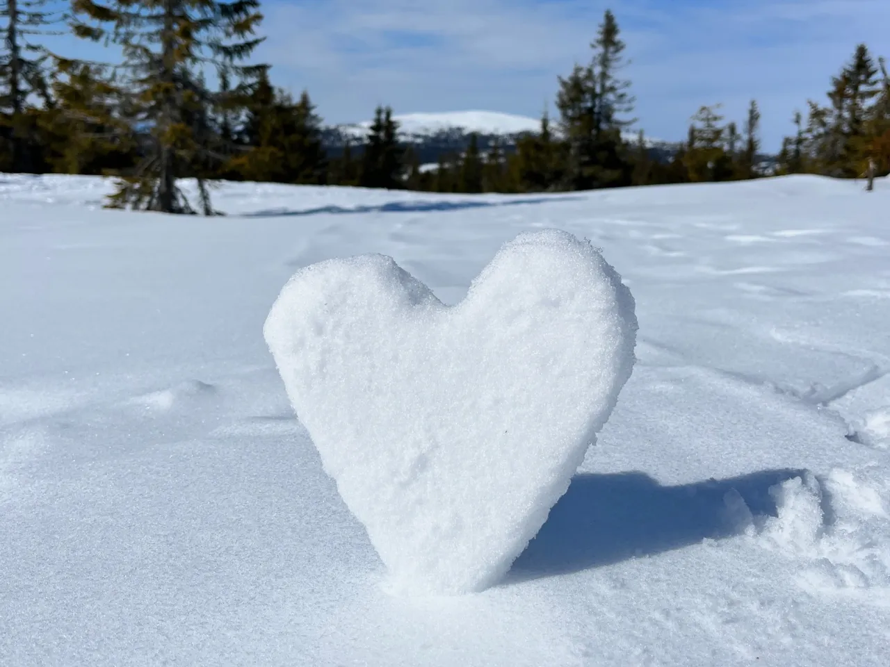 Bestill weekendtilbud på Lillehammer Fjellstue til en god pris nå!