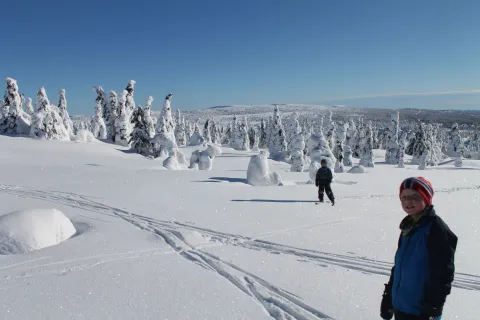 Naturen på Nordseter er den beste lekeplassen for barn.