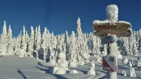 Skiutleie og skiskole på Nordseter