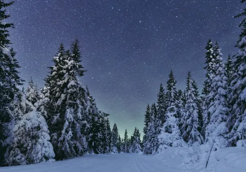 Klar himmel full av stjerner i skiløypa på Nordseter