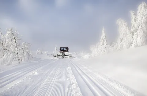 Trails are beeing regurlarly groomed in Nordseter