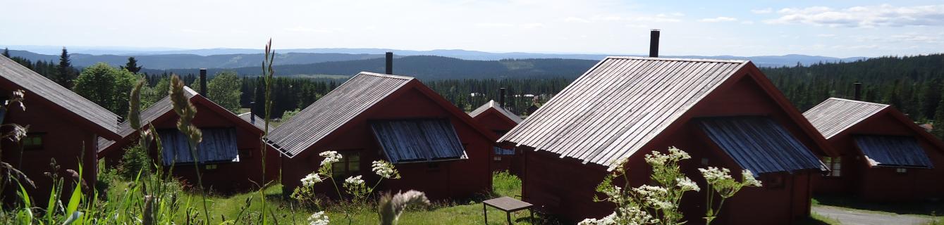 Book a holliday chalet at Lillehammer Fjellstue during your holiday in Norway
